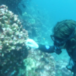 Dive Gordon Rock
